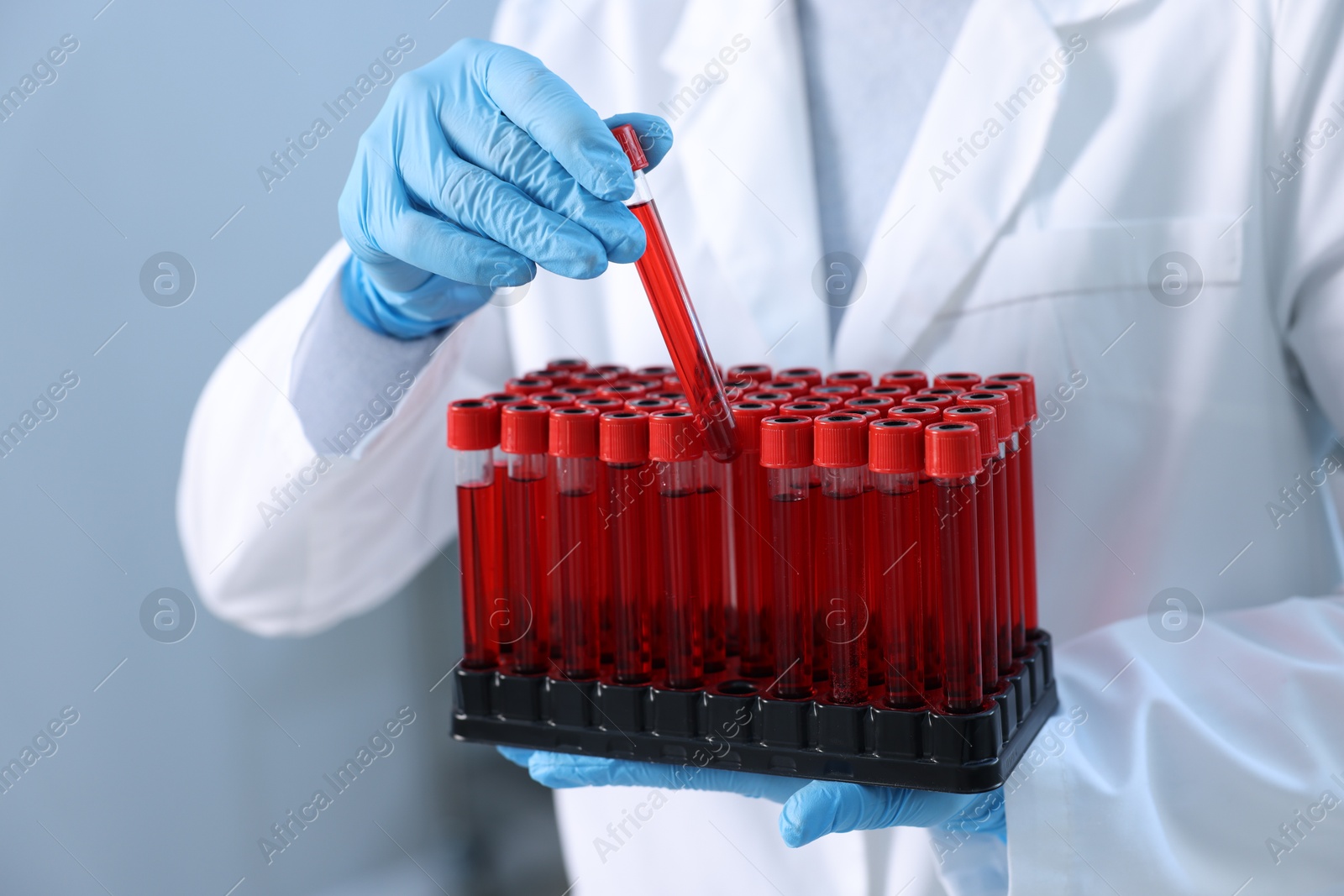 Photo of Laboratory testing. Doctor with blood samples in tubes indoors, closeup