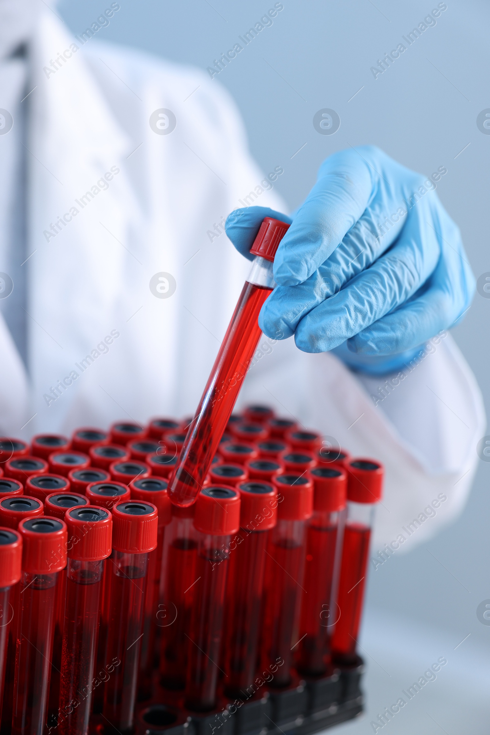 Photo of Laboratory testing. Doctor with blood samples in tubes indoors, closeup