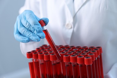 Laboratory testing. Doctor with blood samples in tubes indoors, closeup