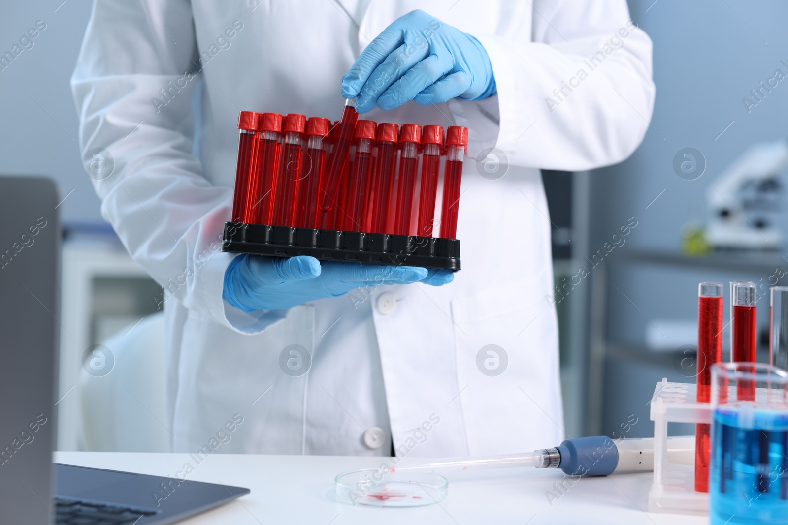 Photo of Laboratory testing. Doctor with blood samples in tubes indoors, closeup