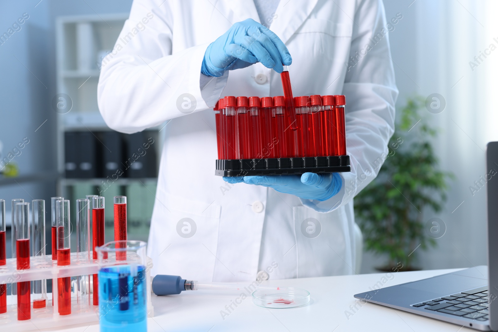 Photo of Laboratory testing. Doctor with blood samples in tubes indoors, closeup