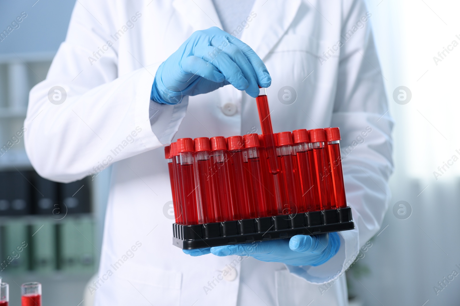 Photo of Laboratory testing. Doctor with blood samples in tubes indoors, closeup