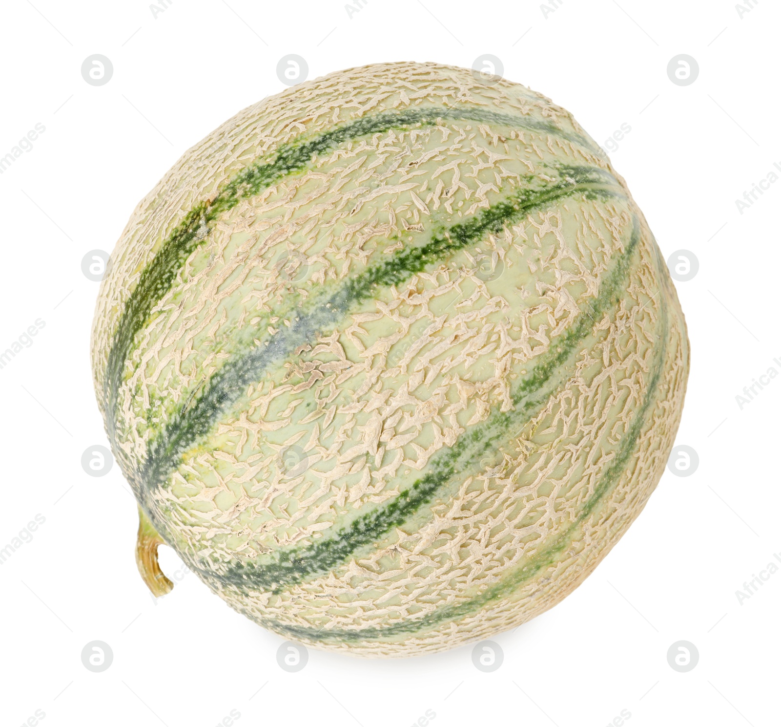 Photo of One whole Cantaloupe melon isolated on white