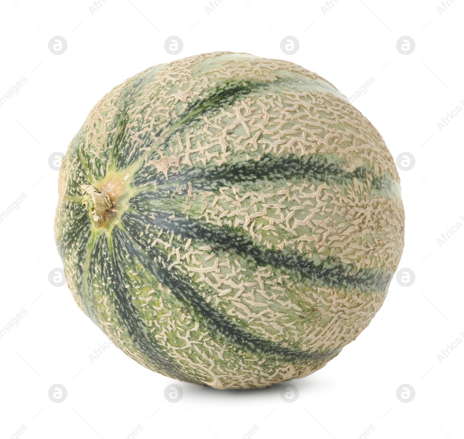 Photo of One whole Cantaloupe melon isolated on white