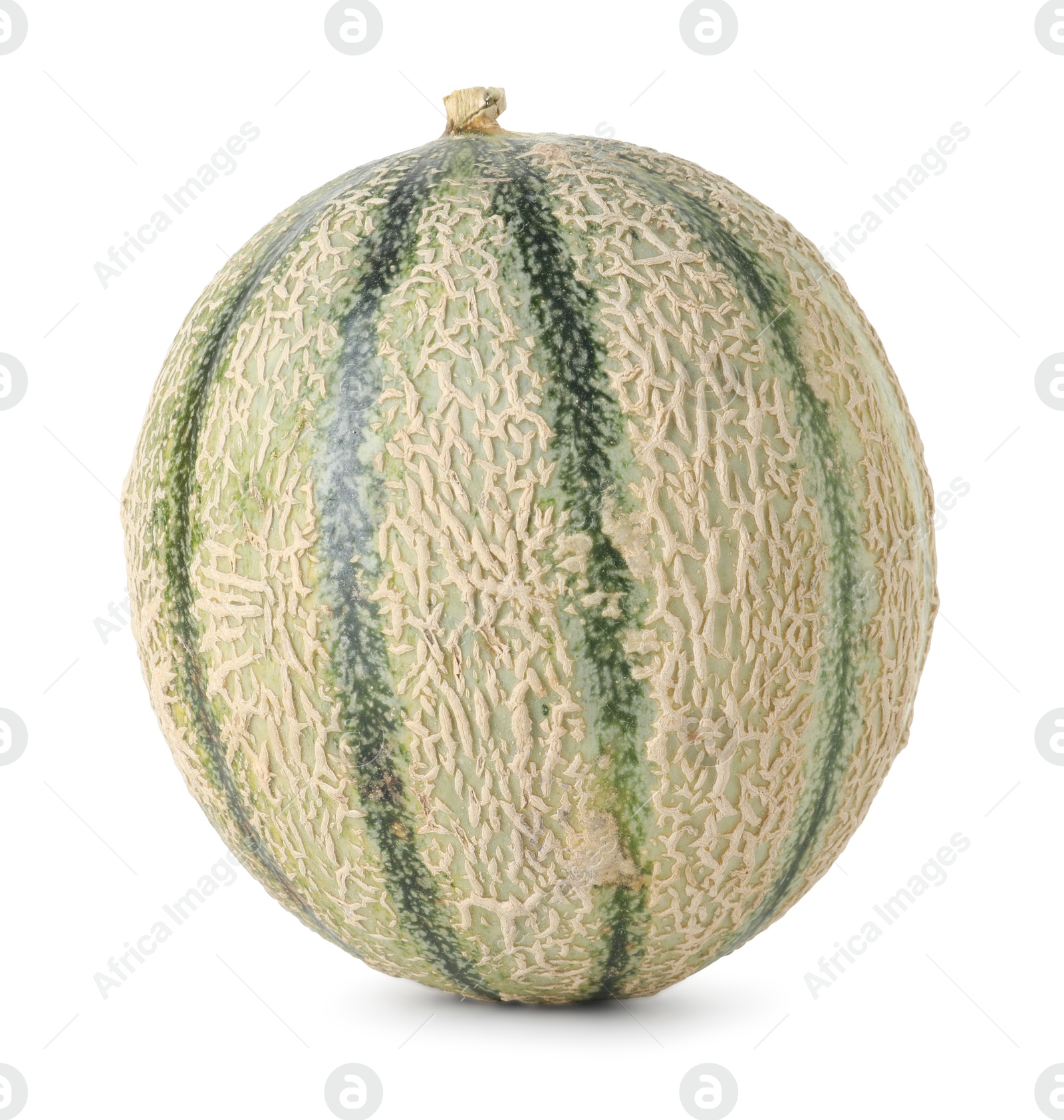 Photo of One whole Cantaloupe melon isolated on white