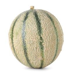 Photo of One whole Cantaloupe melon isolated on white