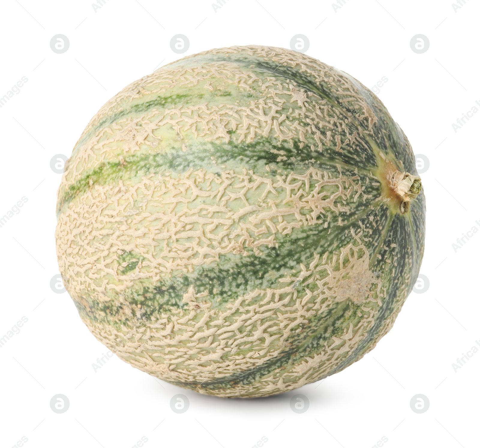 Photo of One whole Cantaloupe melon isolated on white