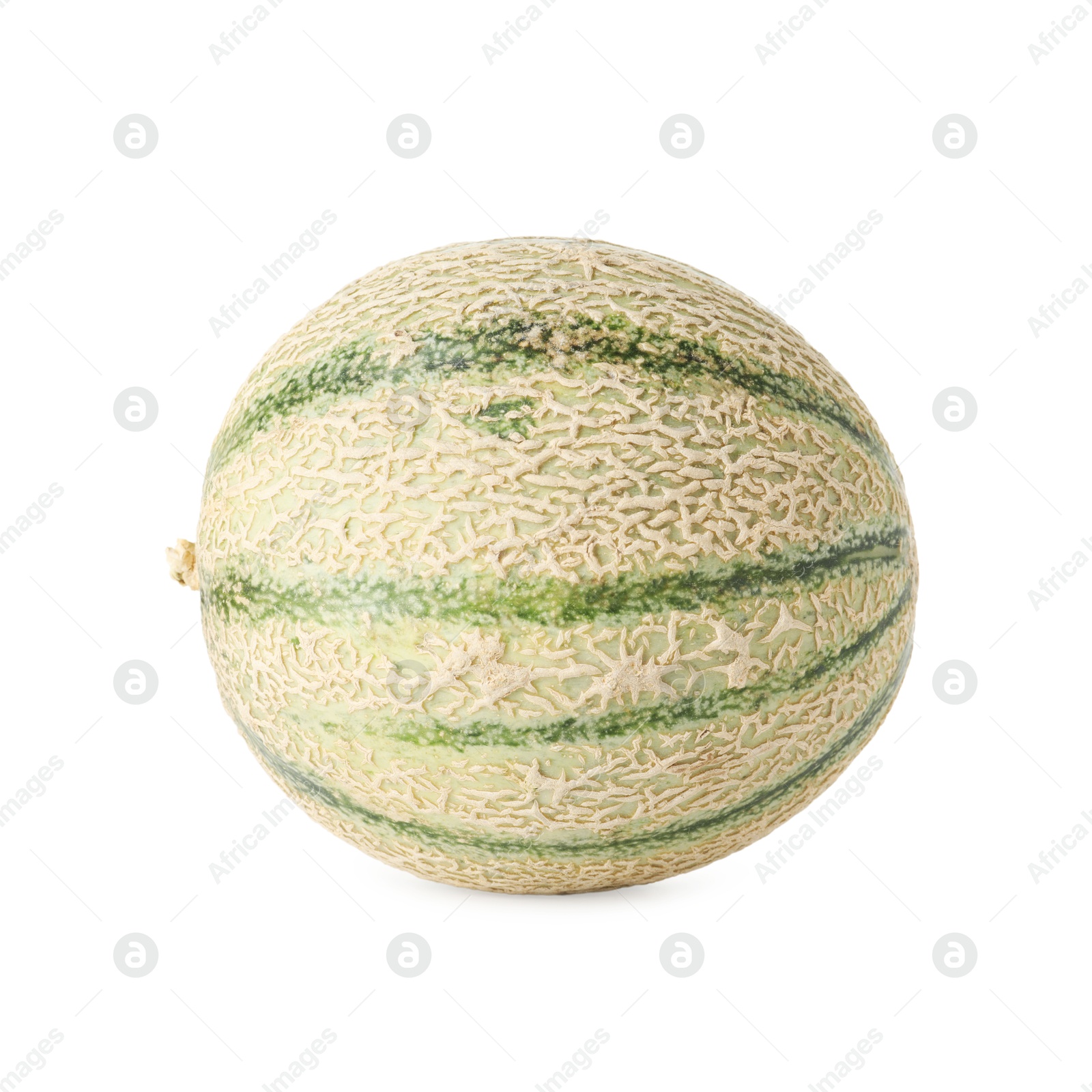 Photo of One whole Cantaloupe melon isolated on white