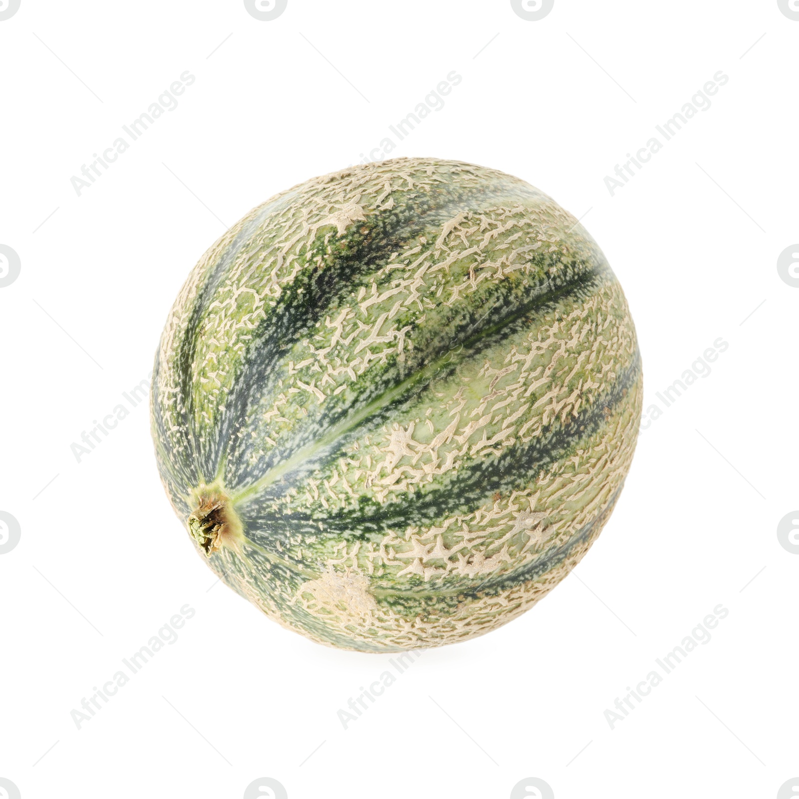 Photo of One whole Cantaloupe melon isolated on white