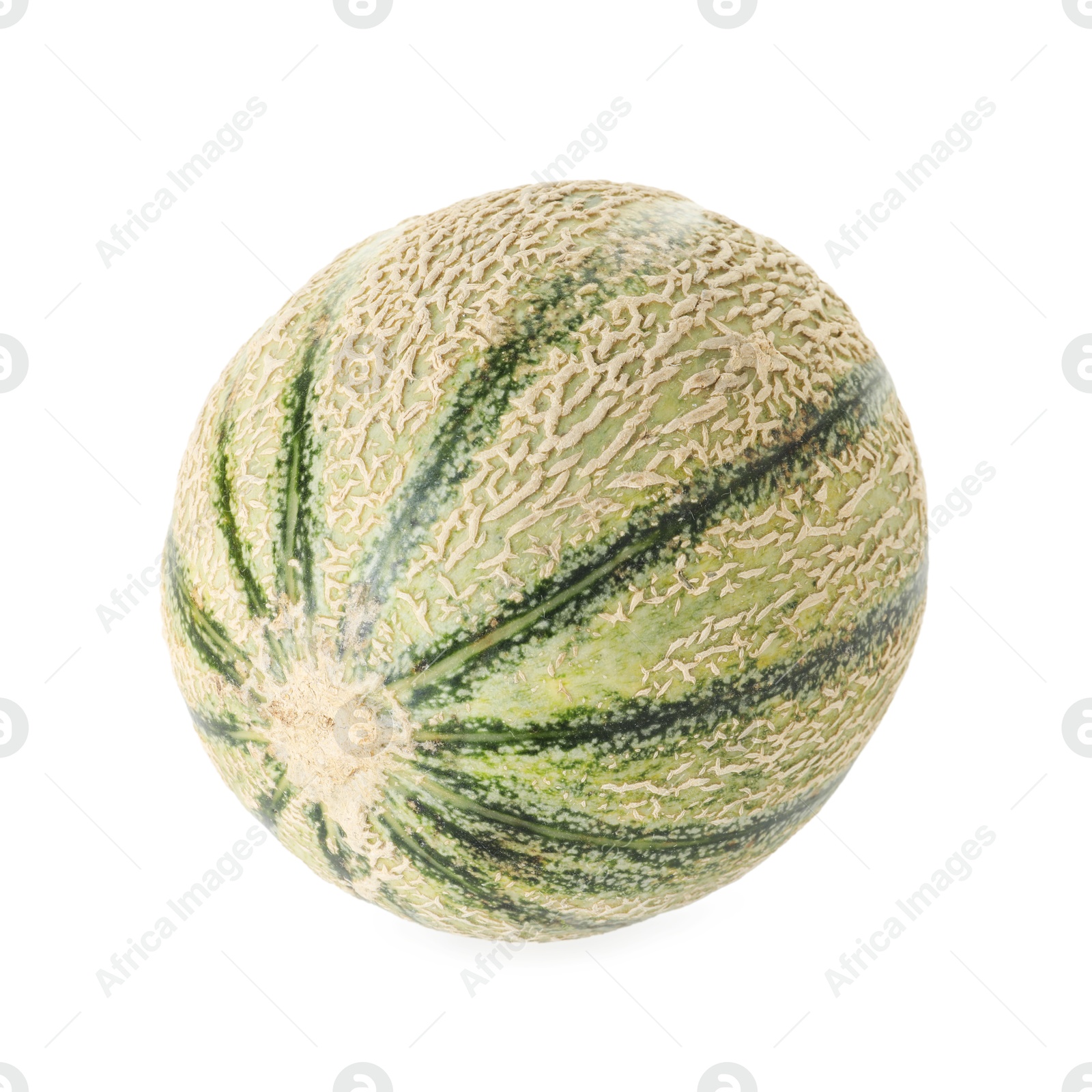 Photo of One whole Cantaloupe melon isolated on white