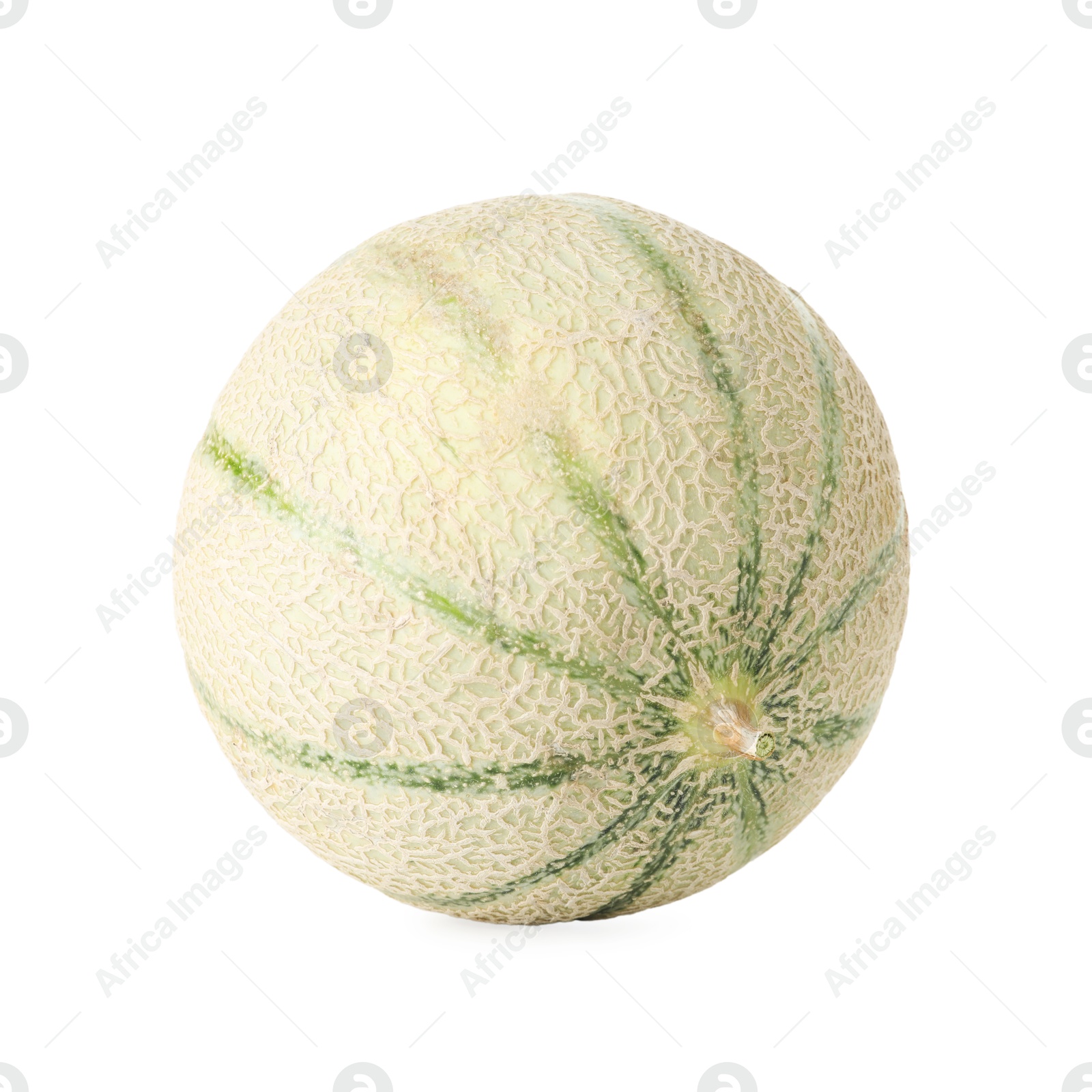 Photo of One whole Cantaloupe melon isolated on white