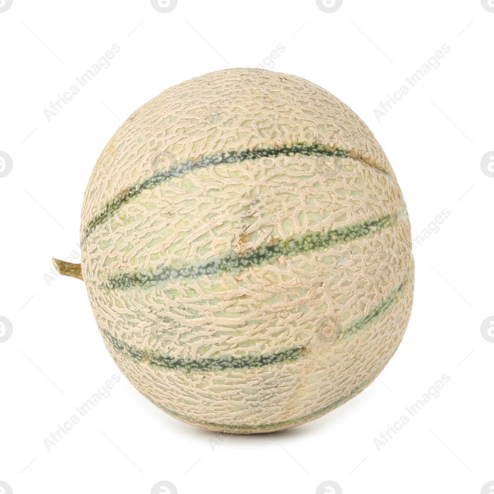 Photo of One whole Cantaloupe melon isolated on white