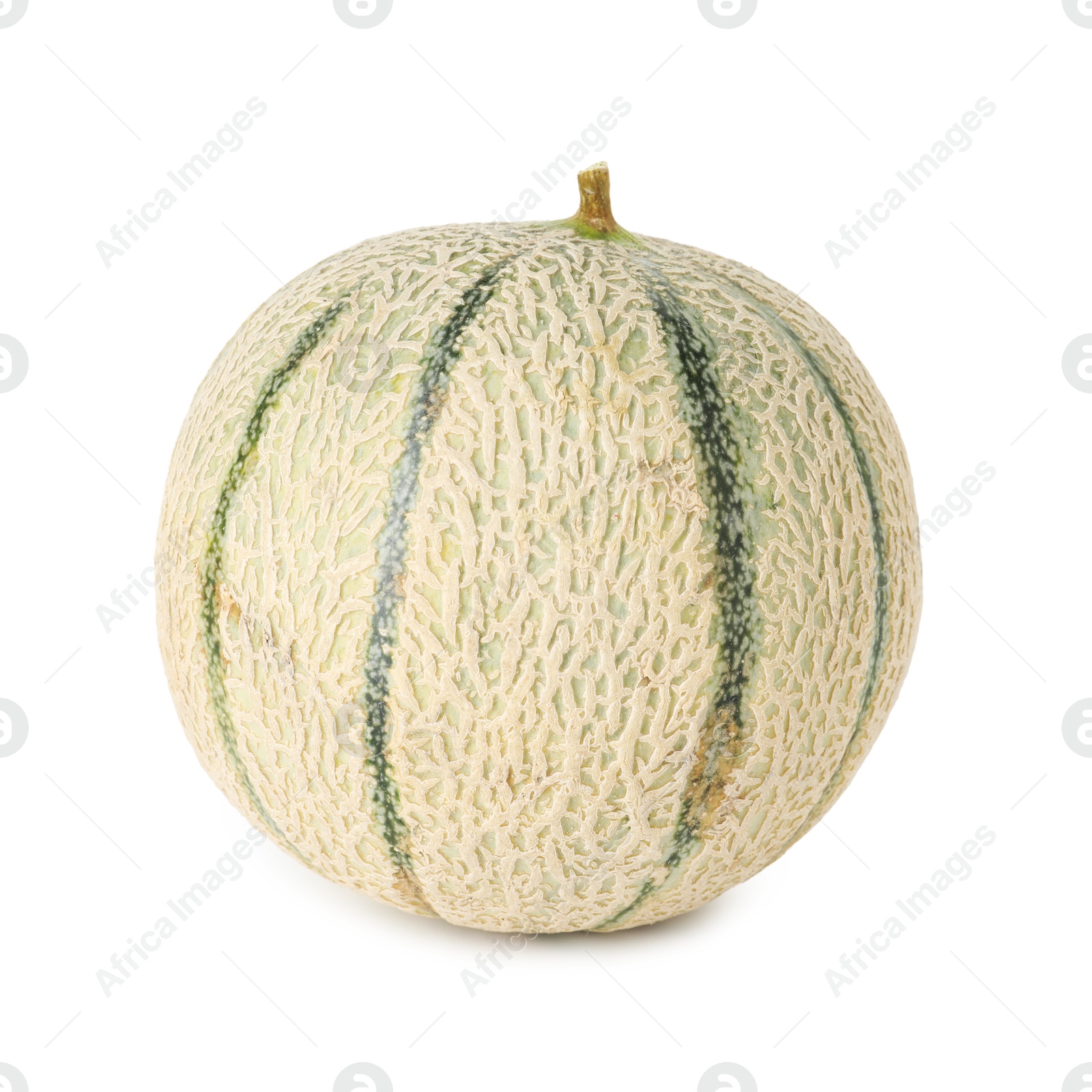 Photo of One whole Cantaloupe melon isolated on white