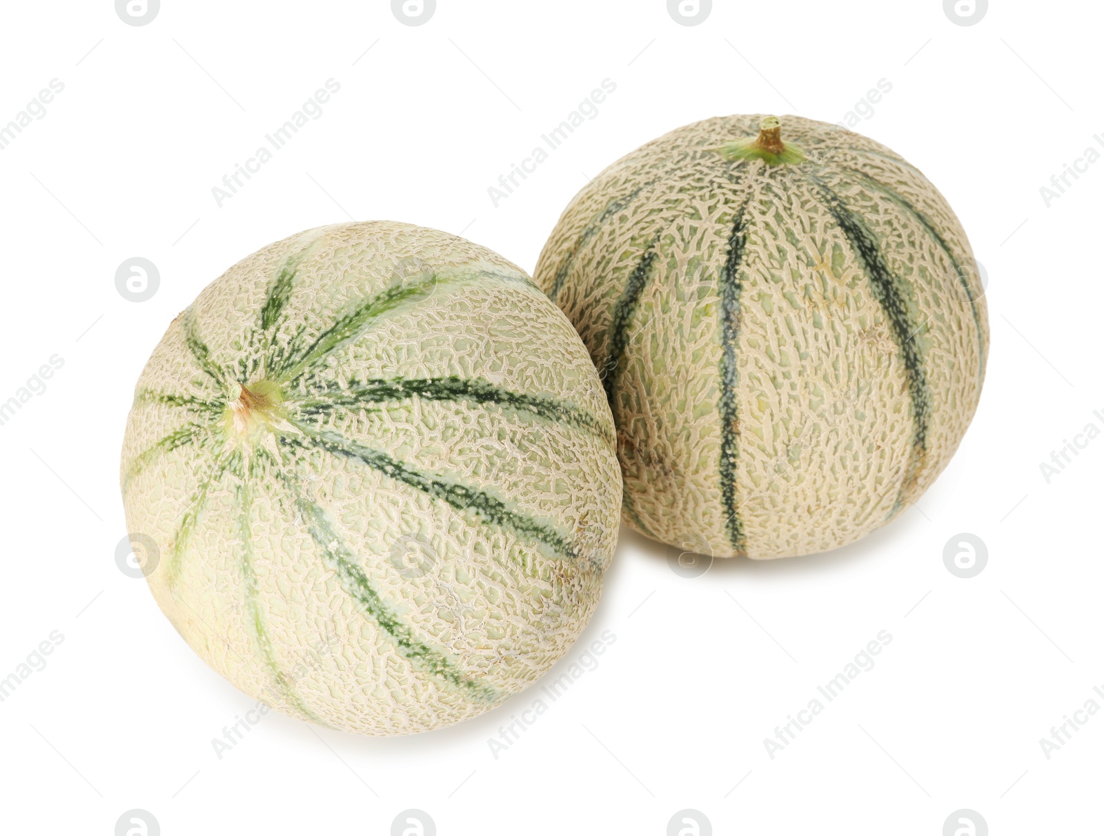 Photo of Two whole Cantaloupe melons isolated on white