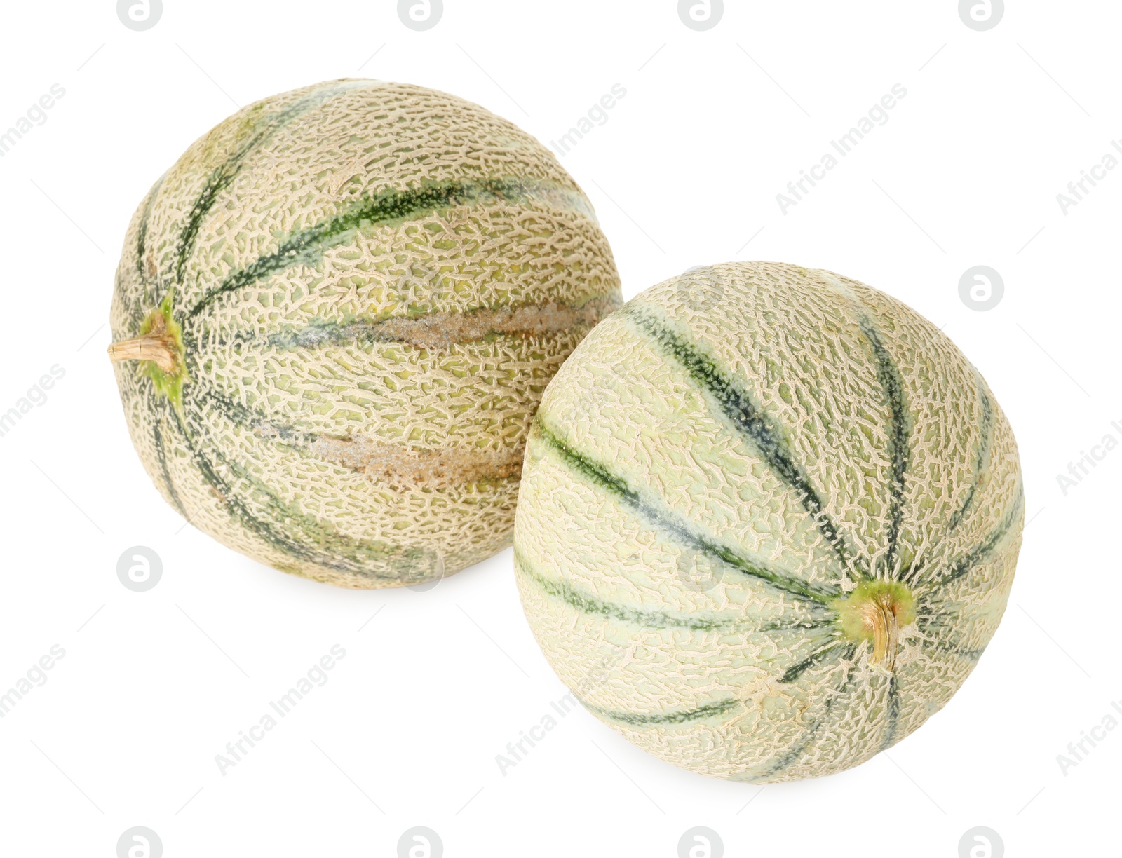 Photo of Two whole Cantaloupe melons isolated on white