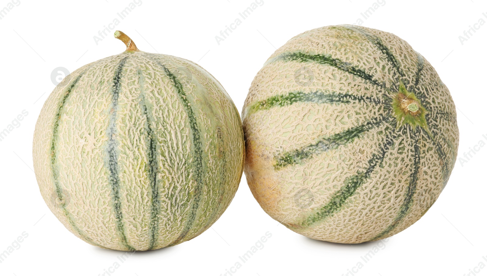 Photo of Two whole Cantaloupe melons isolated on white