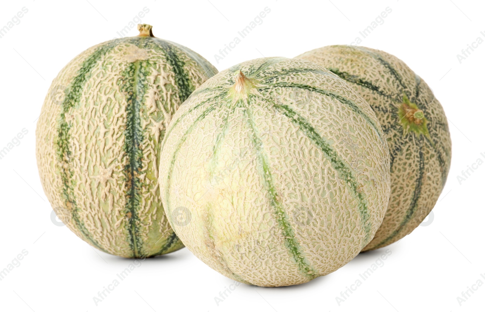 Photo of Three whole Cantaloupe melons isolated on white