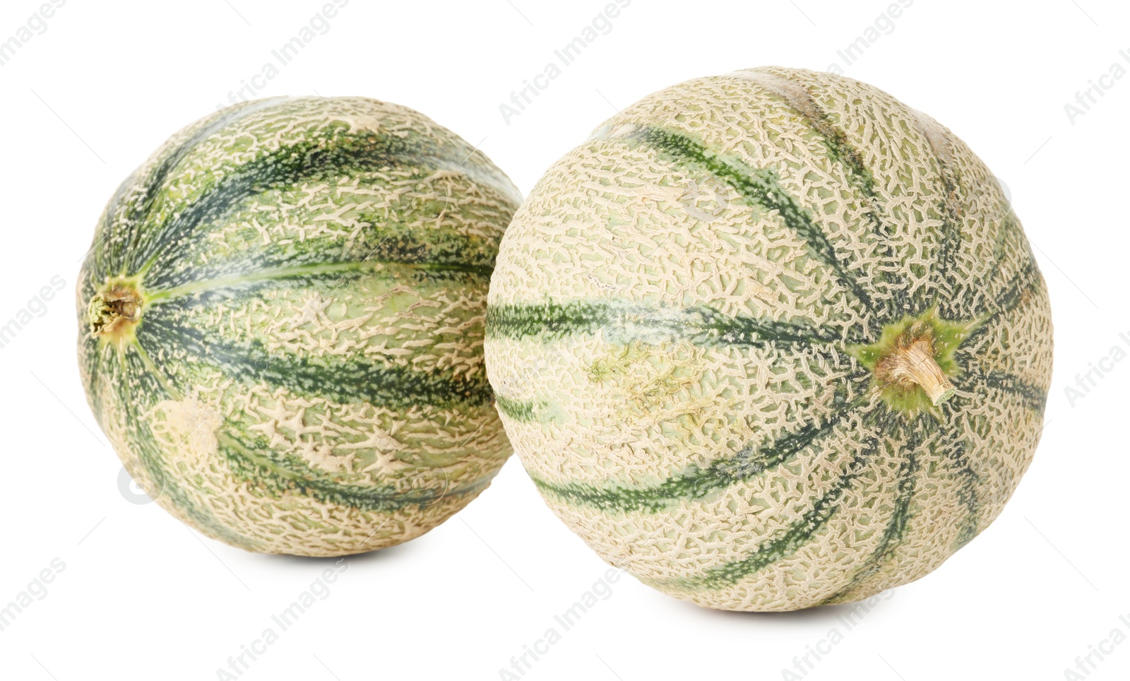 Photo of Two whole Cantaloupe melons isolated on white