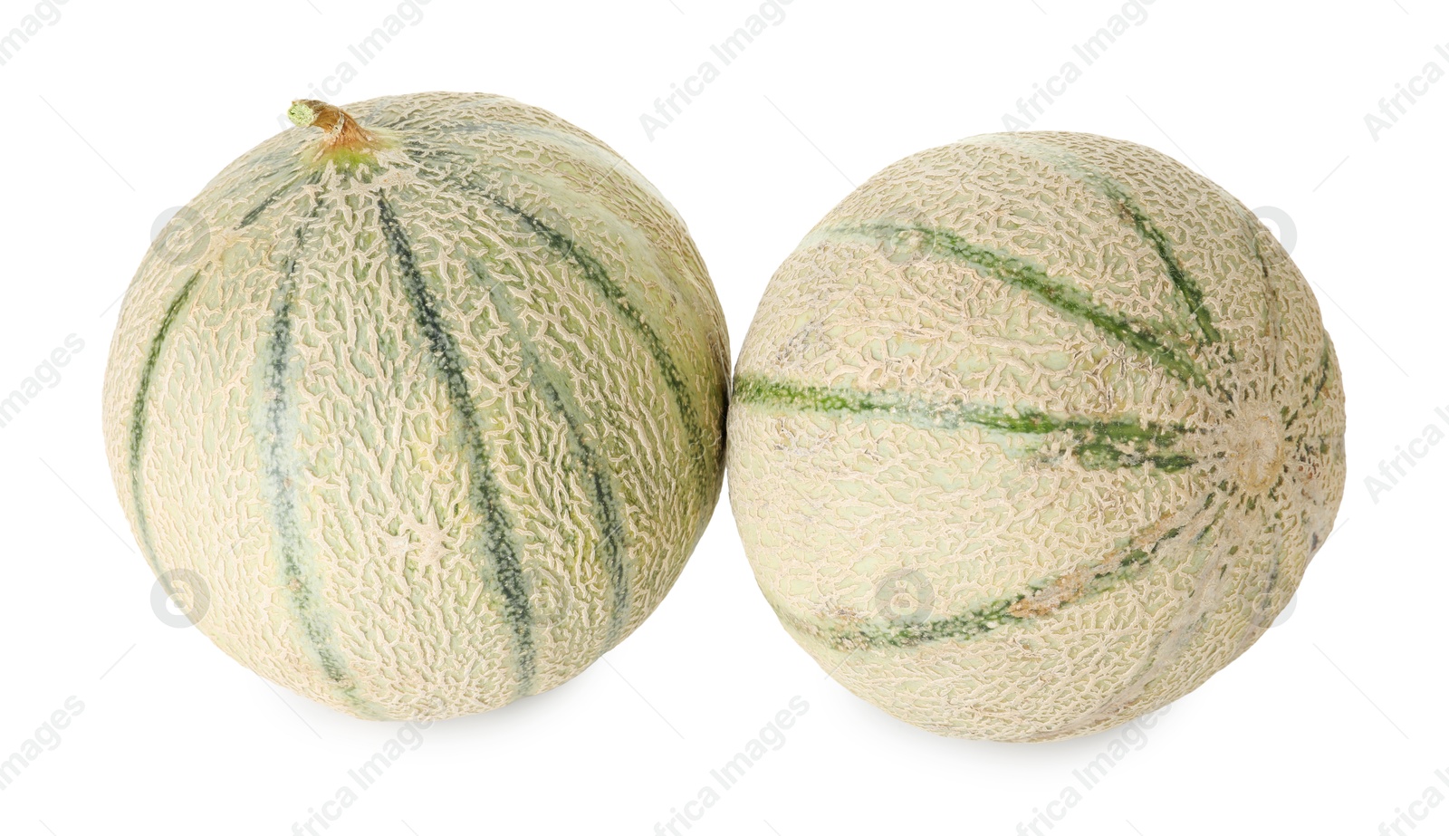 Photo of Two whole Cantaloupe melons isolated on white