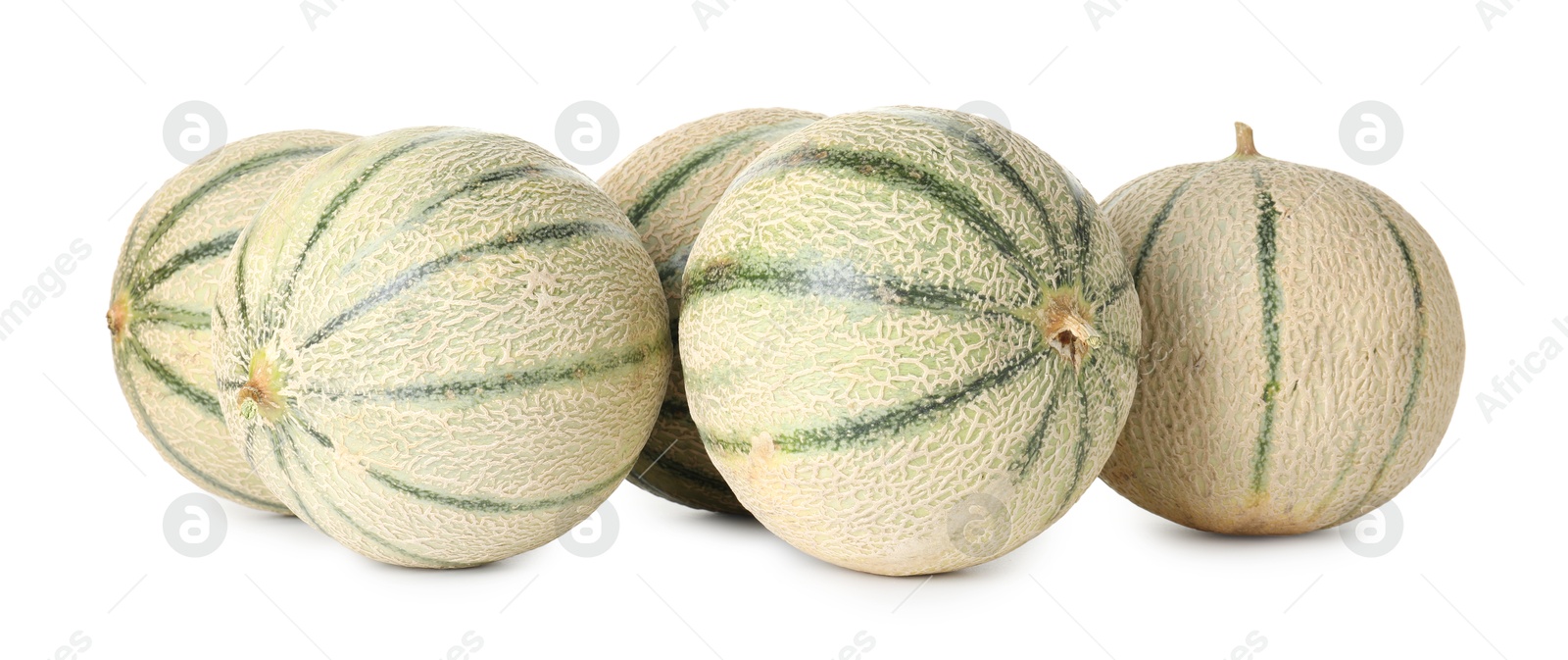 Photo of Many whole Cantaloupe melons isolated on white