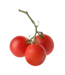 Photo of Branch with ripe tomatoes isolated on white