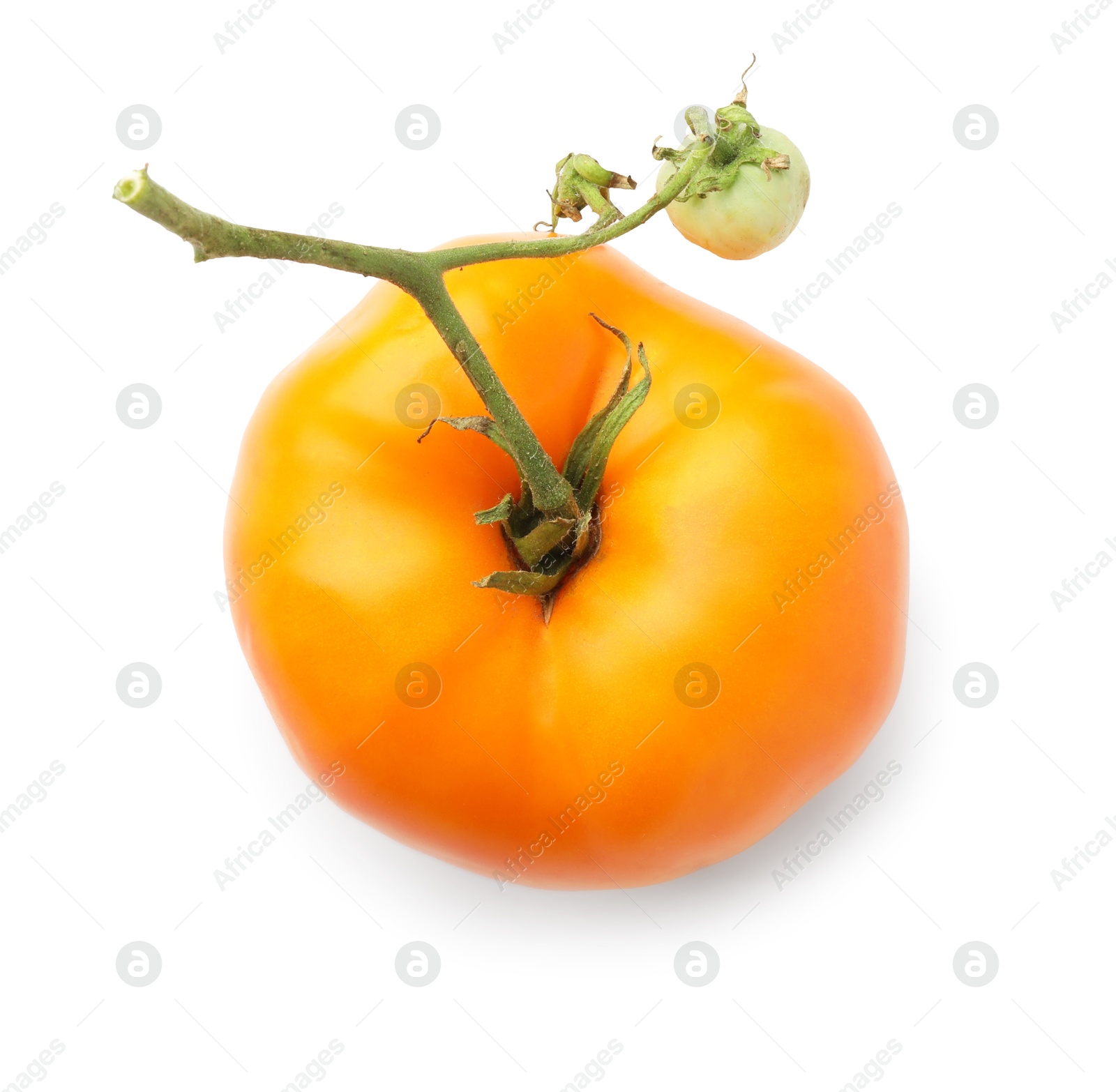 Photo of Fresh ripe yellow tomato isolated on white, top view