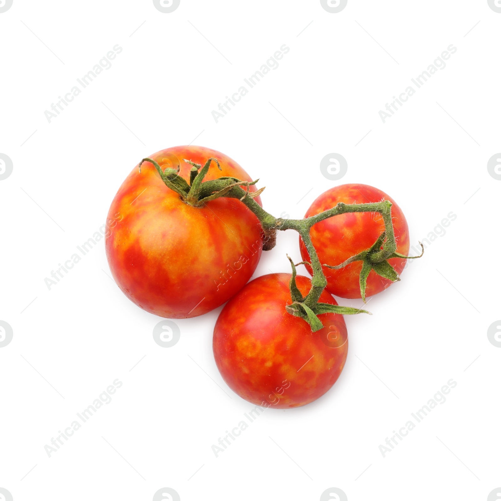 Photo of Branch with ripe tomatoes isolated on white, top view