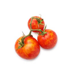 Branch with ripe tomatoes isolated on white, top view