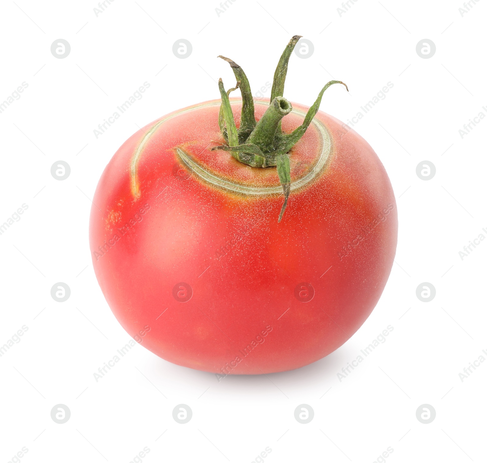 Photo of Fresh ripe pink tomato isolated on white