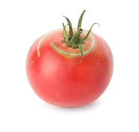 Fresh ripe pink tomato isolated on white