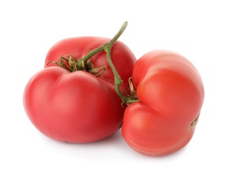 Branch with ripe pink tomatoes isolated on white