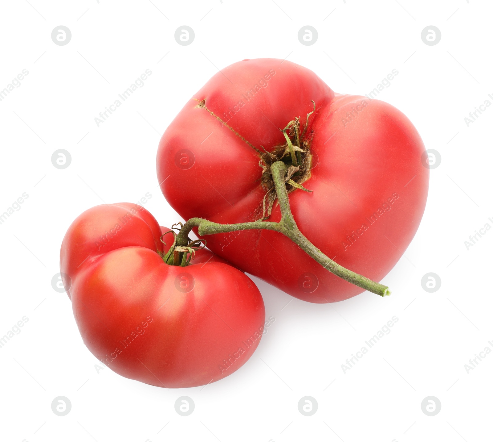 Photo of Branch with ripe pink tomatoes isolated on white, top view