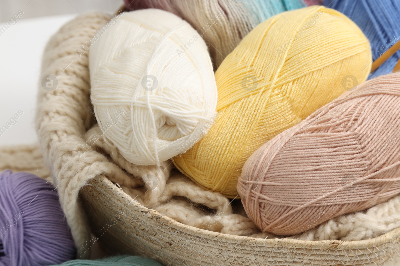 Photo of Skeins of yarn and knitting sample, closeup