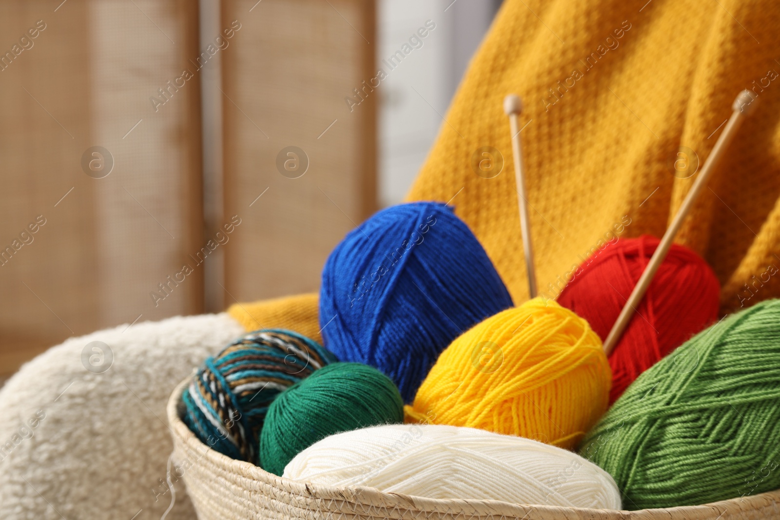 Photo of Skeins of soft yarn and knitting needles on armchair, closeup