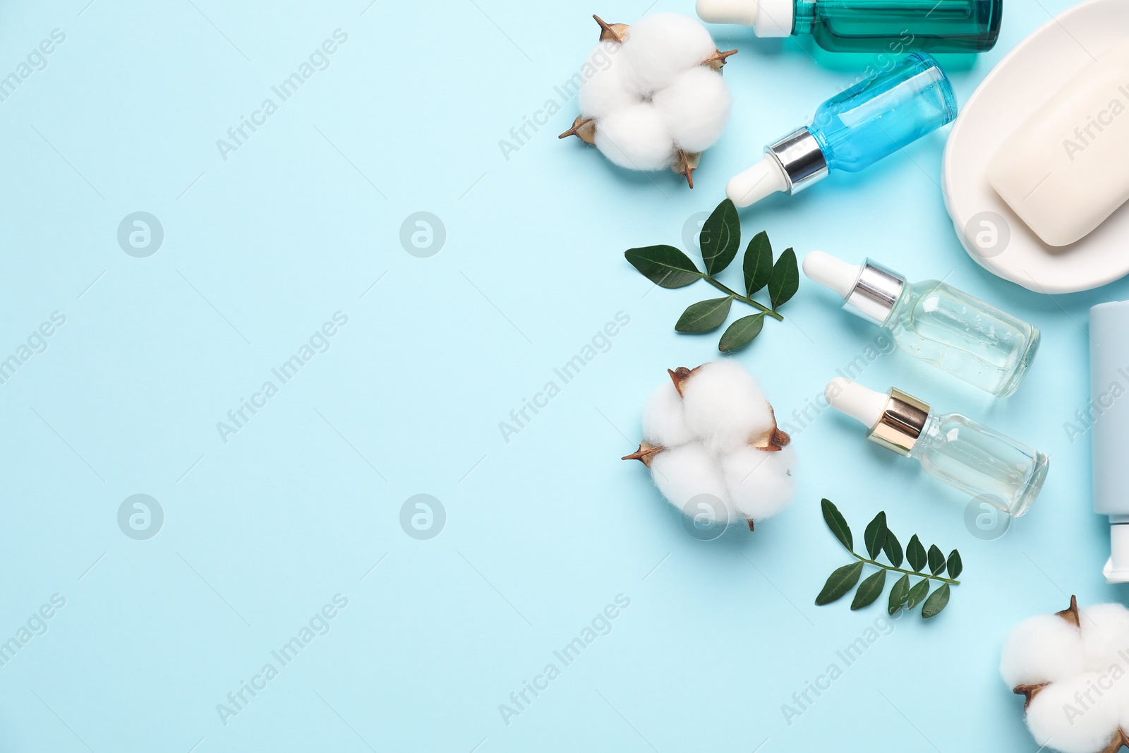 Photo of Different cosmetic products, leaves and cotton flowers on light blue background, flat lay. Space for text