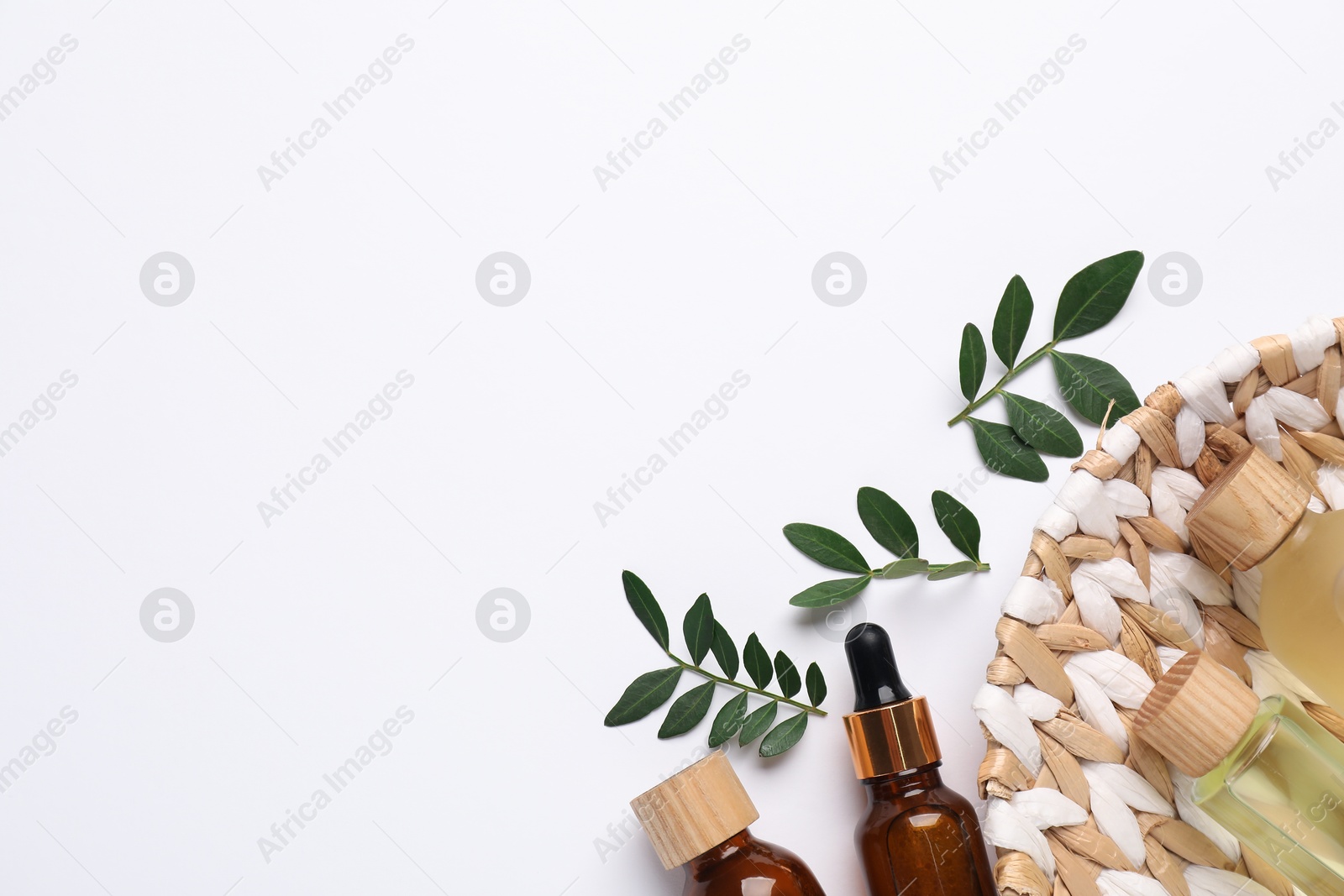 Photo of Different cosmetic products and green leaves on white background, flat lay. Space for text