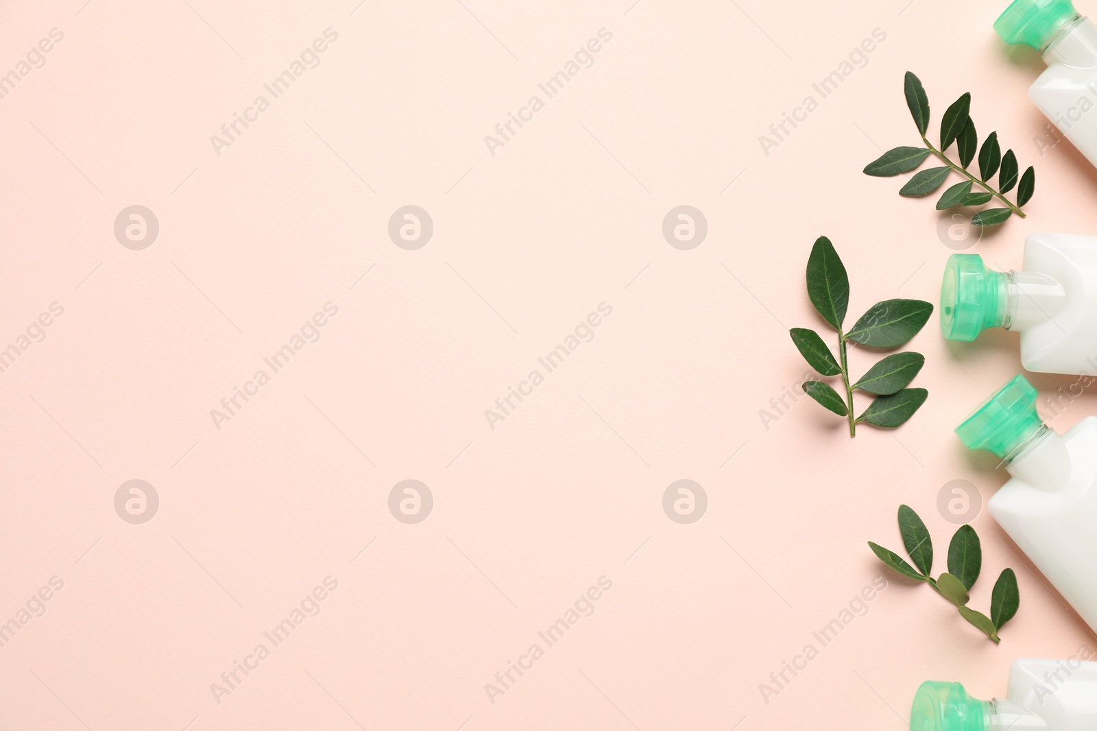 Photo of Cosmetic products and leaves on beige background, flat lay. Space for text