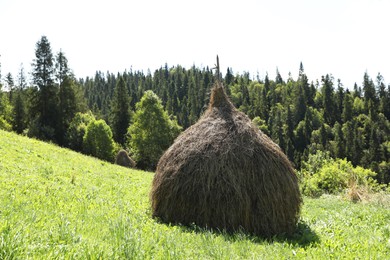 Photo of Pile of hay on green grass on sunny day