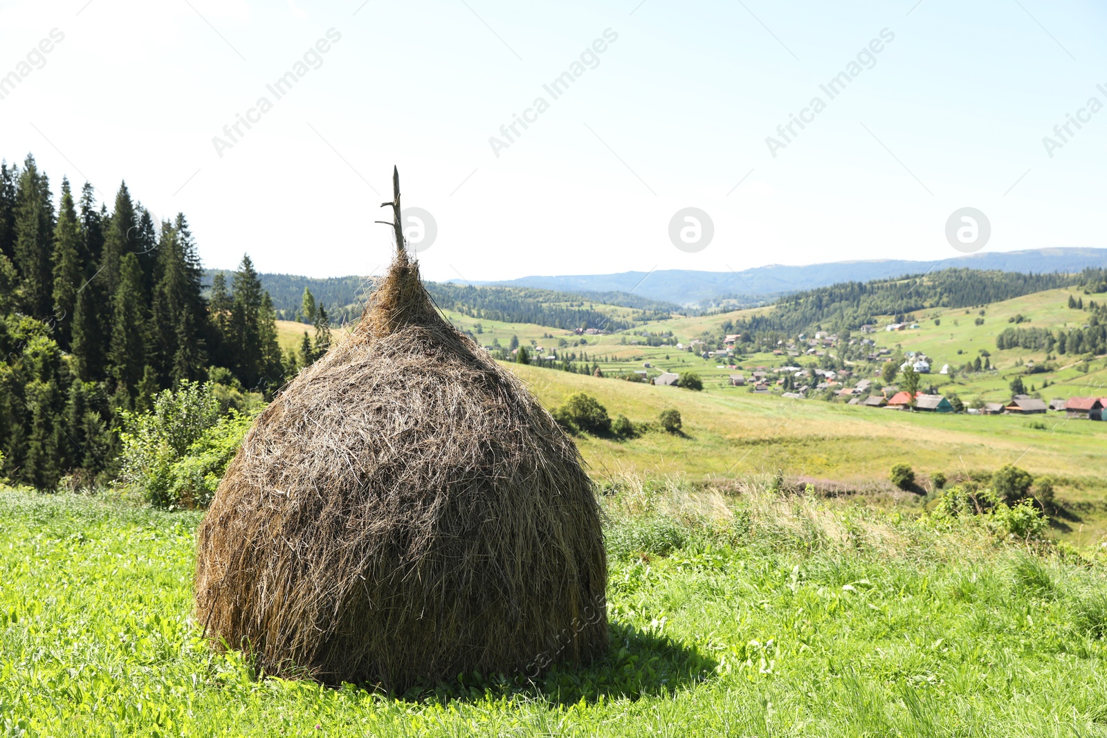 Photo of Pile of hay on green grass on sunny day