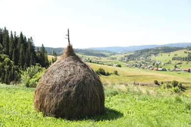 Photo of Pile of hay on green grass on sunny day