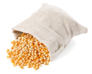 Photo of Fresh corn kernels and overturned burlap sack isolated on white