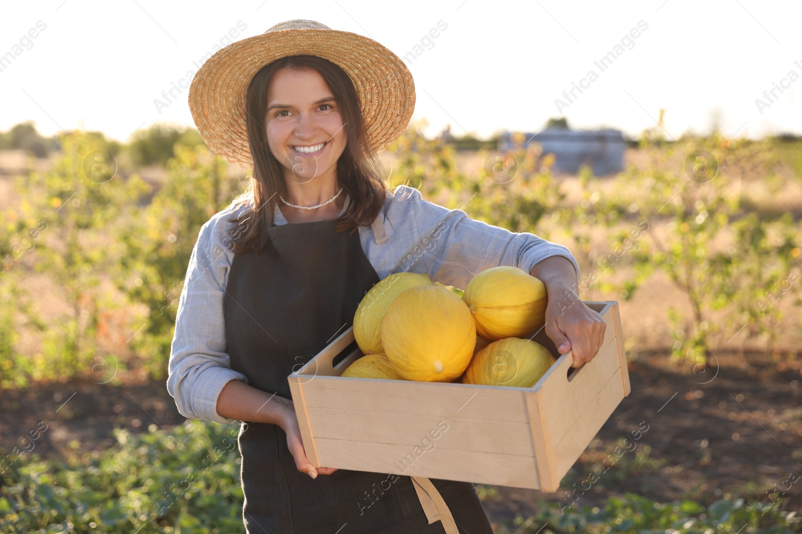 Photo of Smiling woman holding wooden crate of ripe melons in field