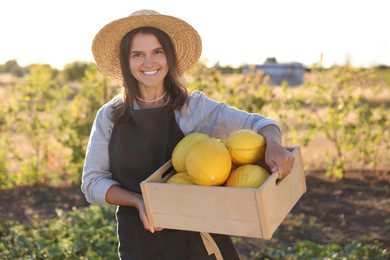 Photo of Smiling woman holding wooden crate of ripe melons in field