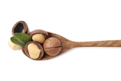 Photo of Spoon with macadamia nuts isolated on white, top view