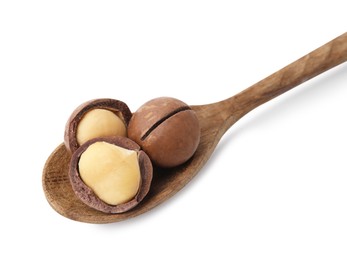 Spoon with macadamia nuts isolated on white