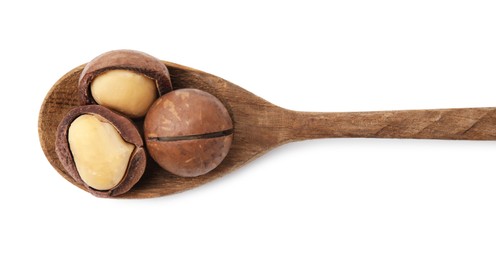 Photo of Spoon with macadamia nuts isolated on white, top view