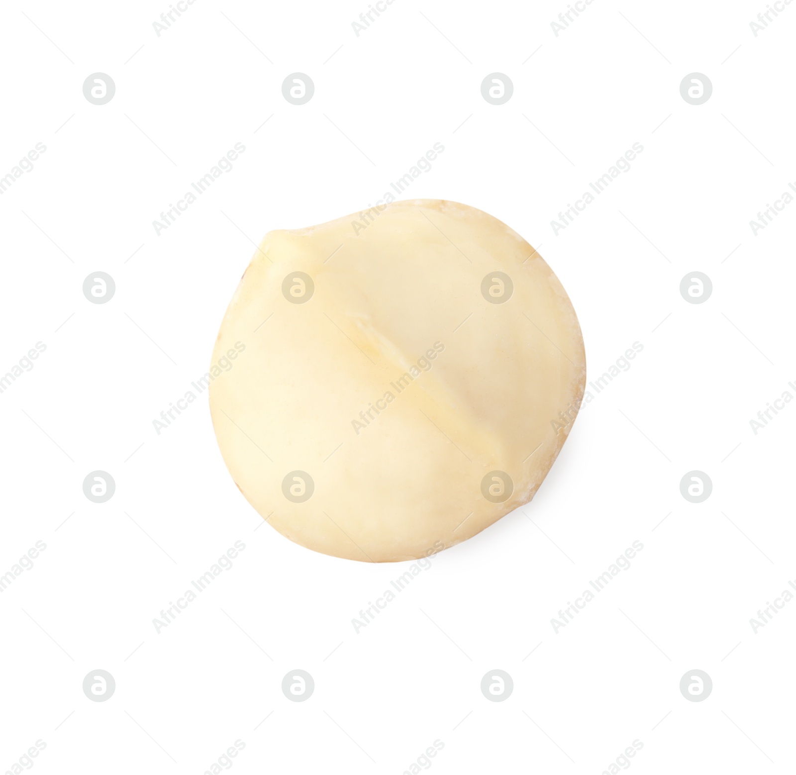 Photo of One peeled macadamia nut isolated on white, top view