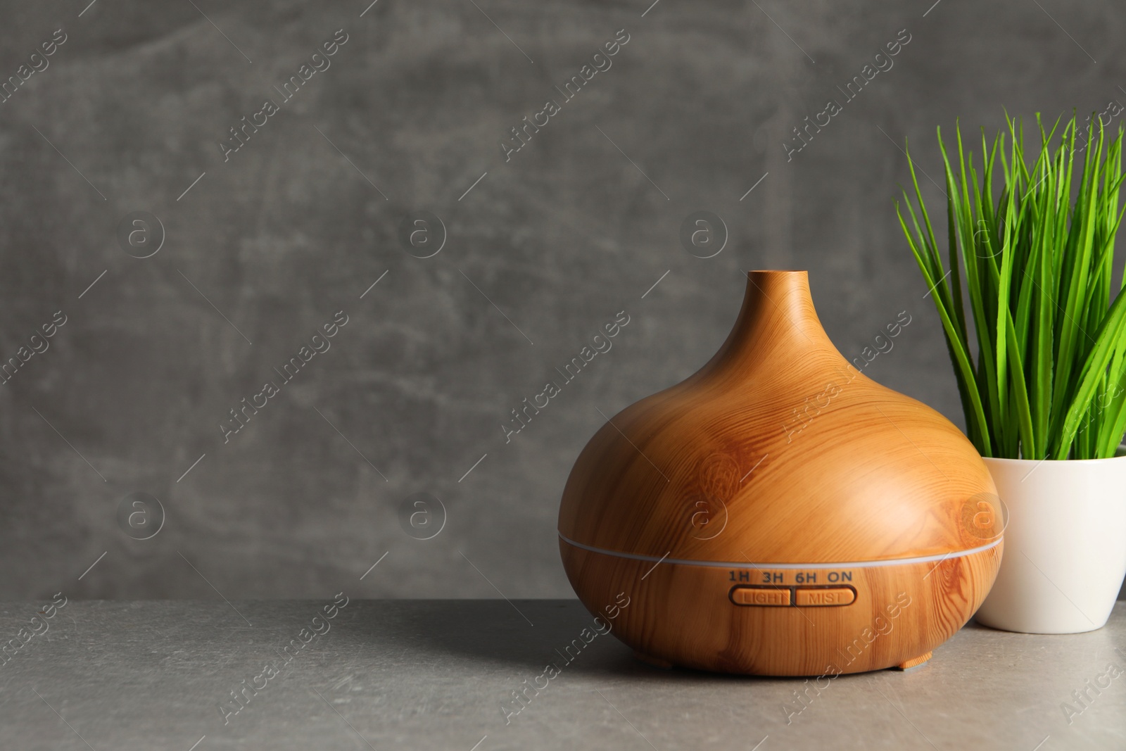 Photo of Aroma oil diffuser and plant on light grey table, space for text