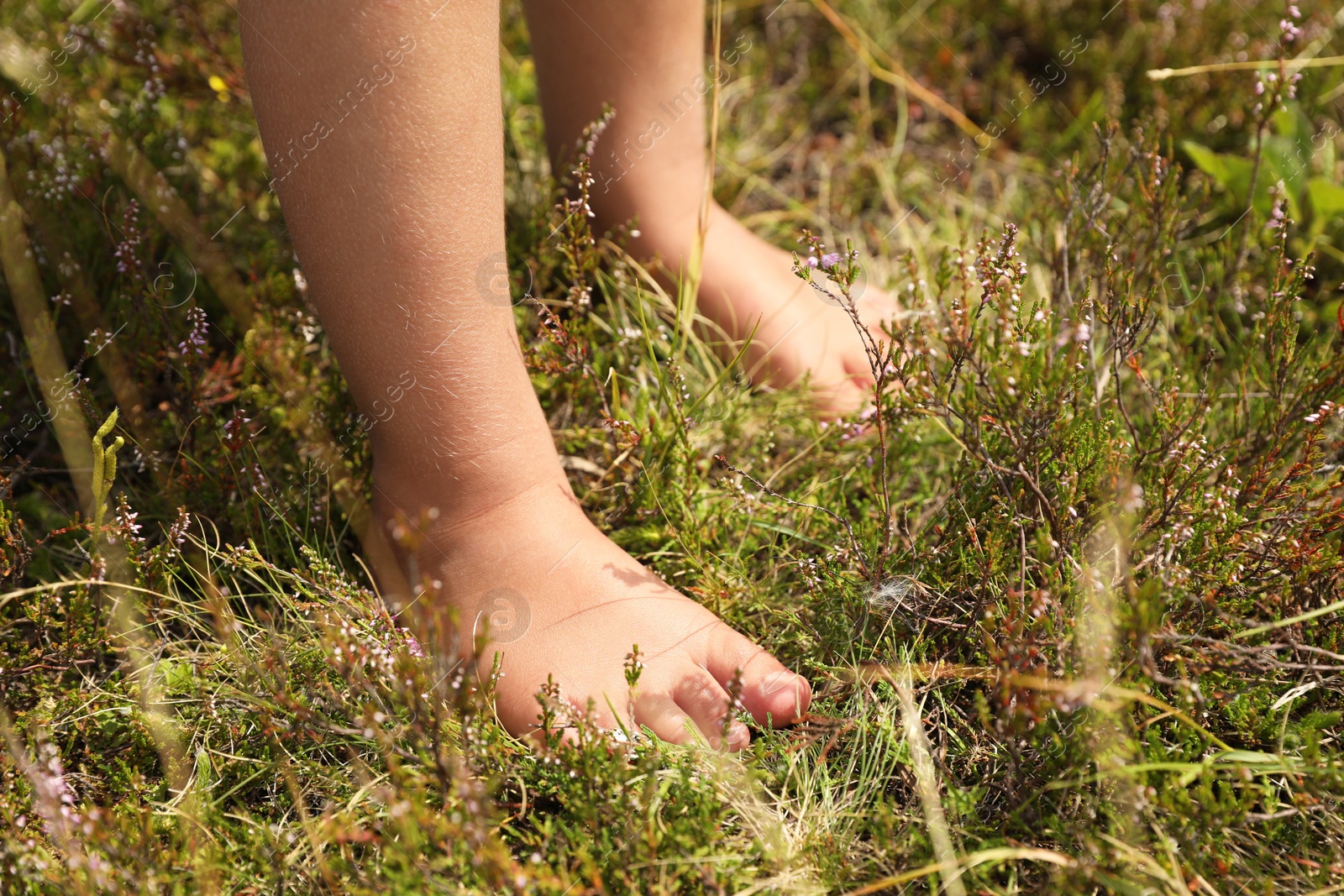 Photo of Little girl standing barefoot outdoors on sunny day, closeup. Child enjoying beautiful nature