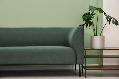 Stylish sofa and houseplant near green wall indoors